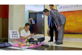 芝麻胡同刘蓓讨债:揭秘胡同里的民间借贷风波 芝麻胡同刘蓓讨债:揭秘胡同里的民间借贷风波