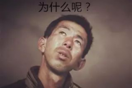 朝阳大望路催收：揭秘金融行业的痛点与解决方案