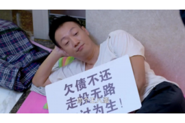 庄河讨债公司电话：专业解决债务问题，守护您的权益