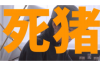 广州禅武堂讨债公司：专业高效的债务解决方案