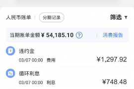 银行内部催收部门:揭秘其职责与挑战 银行内部催收部门:揭秘其职责与挑战
