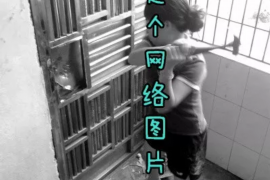 海伦清数公司联系电话:您的数据安全守护者 海伦清数公司联系电话:您的数据安全守护者