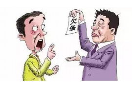 惠来清数公司:数据清洗领域的专业守护者 惠来清数公司:数据清洗领域的专业守护者