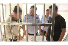 关于贷款催收的书：揭秘催收技巧与法律规范