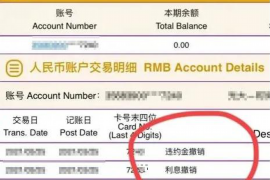 银行招黑社会要账：揭开金融界的灰色地带