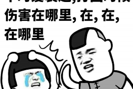 黑妹要账大全：轻松应对债务回收的实用指南