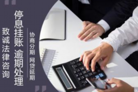 阿波罗要账公司：债务催收领域的守护者