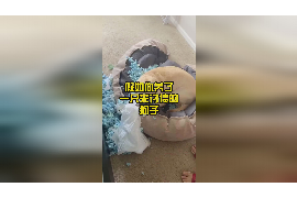 催收公司申请网络仲裁:现代法治下的高效解决之道 催收公司申请网络仲裁:现代法治下的高效解决之道